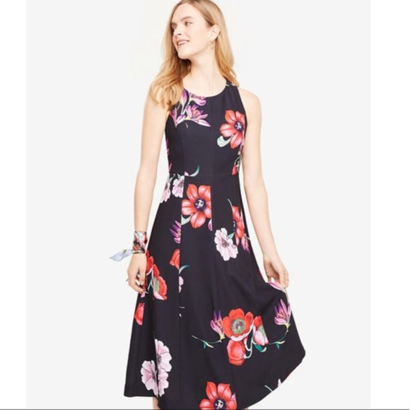 NWT AnnTaylor Black Floral Dress. SZ 4 - Picture 2 of 8
